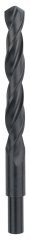 Bosch HSS-R 15*169 mm