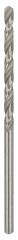 Bosch HSS-G Metal Matkap Ucu 2,8*61 mm 10'lu