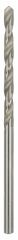 Bosch HSS-G Metal Matkap Ucu 2,9*61 mm 10'lu