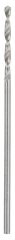 Bosch HSS-G Metal Matkap Ucu 1*34 mm 2'li