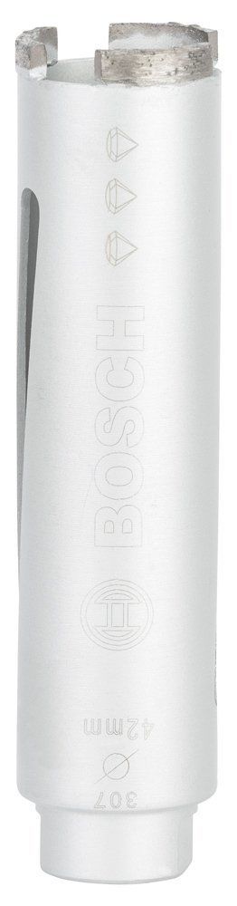 Bosch BfU Elmas Kuru Karot Uç 42*150mm G1/2''