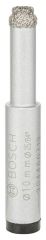 Bosch EasyDry BfC Elmas Delici Uç 10*33 mm