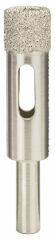 Bosch GTR 30 BfC Elmas Delici Uç 12*35 mm
