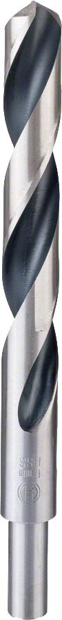 Bosch HSSPointTeQ Metal Matkap Ucu 17,0mm 1'li